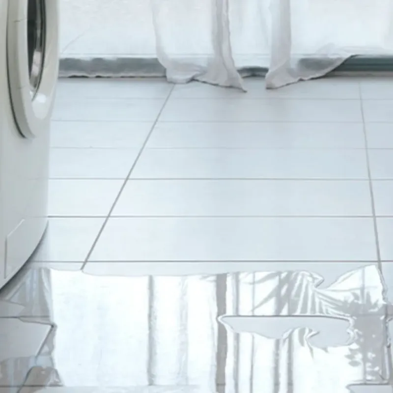 Appliance Leak Cleanup in Miramar, FL