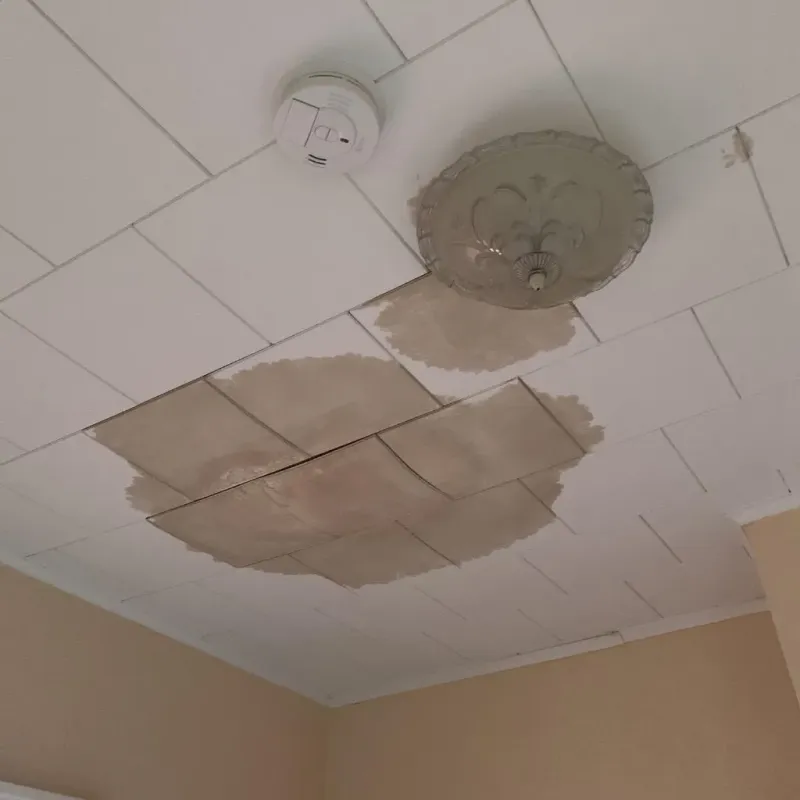 Ceiling Water Damage Repair in Miramar, FL